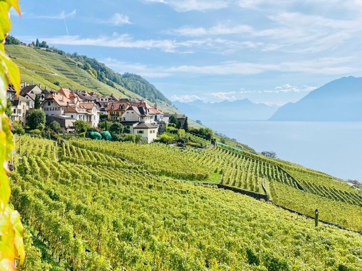 Montreux Holiday Home Екстериор снимка