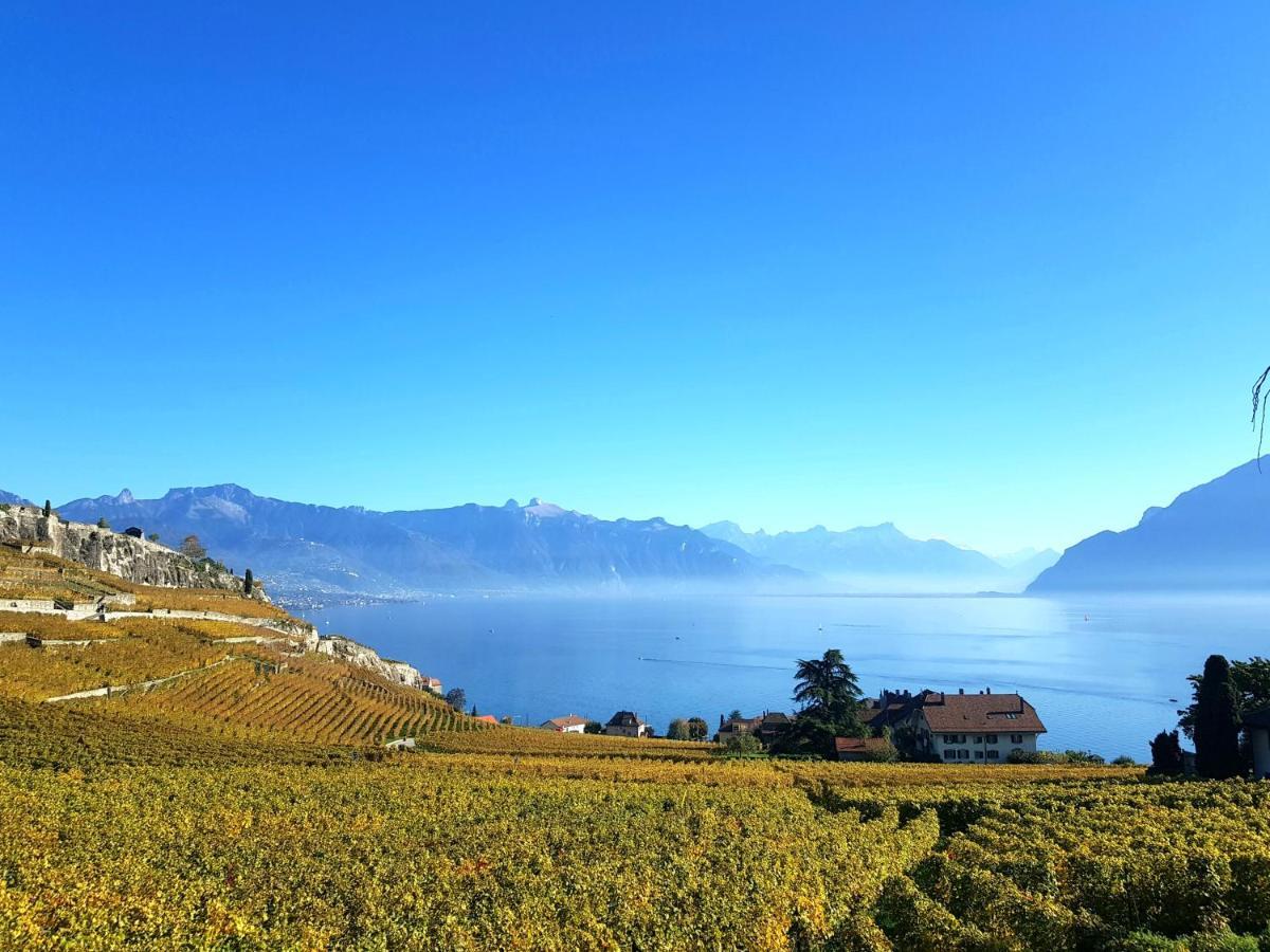 Montreux Holiday Home Екстериор снимка